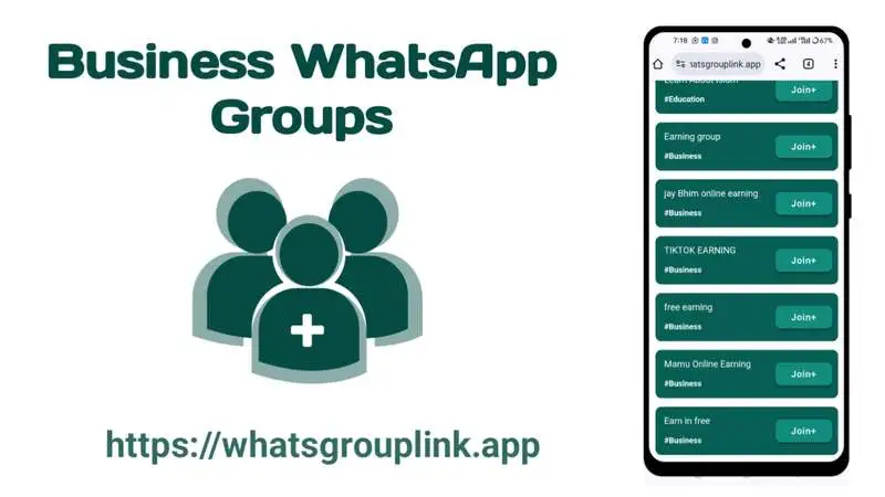 Business WhatsApp Group